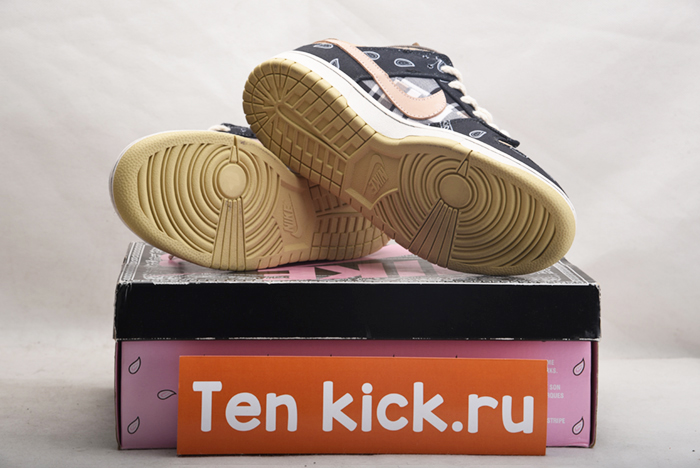 Travis Scott x Nike SB Dunk Low TS