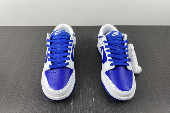 Nike Dunk Low DD1391-401