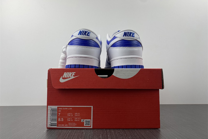 Nike Dunk Low DD1391-401