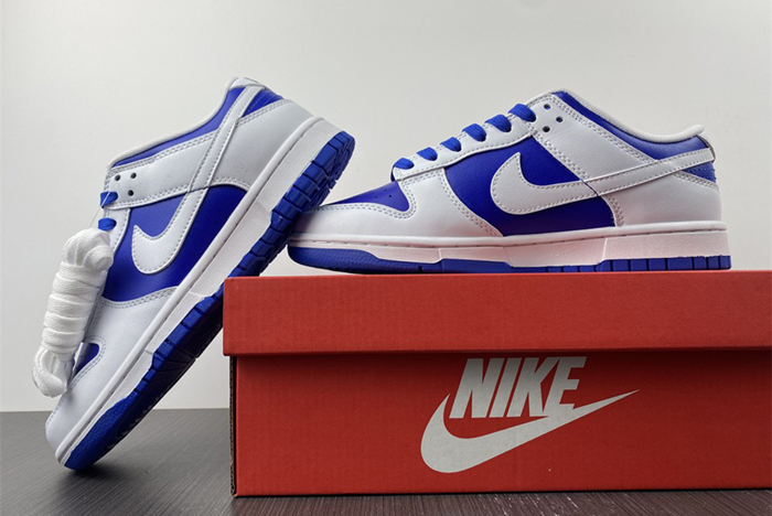 Nike Dunk Low DD1391-401