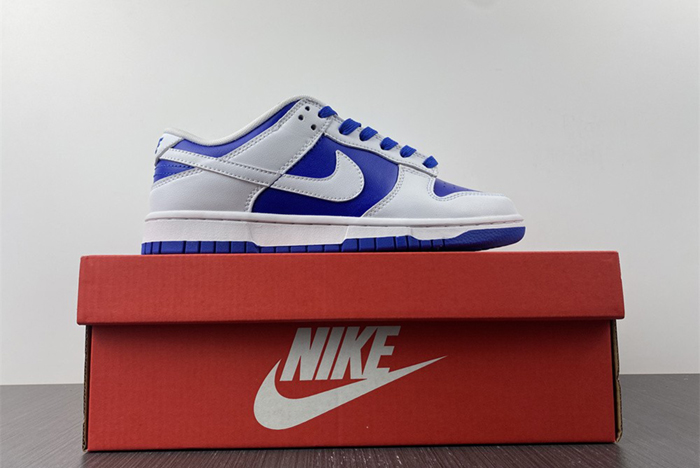 Nike Dunk Low DD1391-401