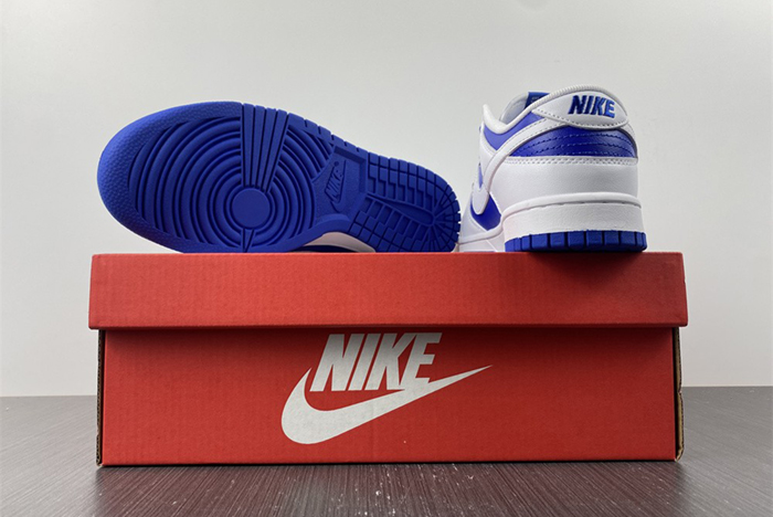 Nike Dunk Low DD1391-401