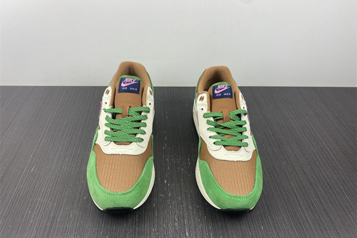 Nike Air Max 1 NH “Treeline”  DR9773-300