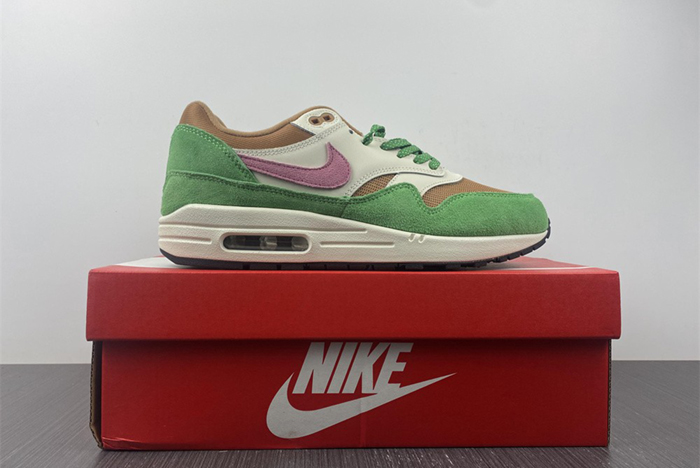 Nike Air Max 1 NH “Treeline”  DR9773-300