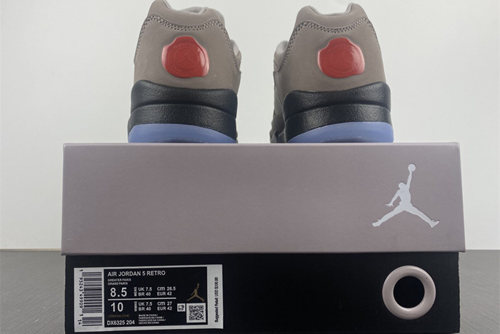 PSG-Air Jordan 5 Low  DX6325-204