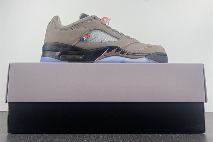 PSG-Air Jordan 5 Low  DX6325-204