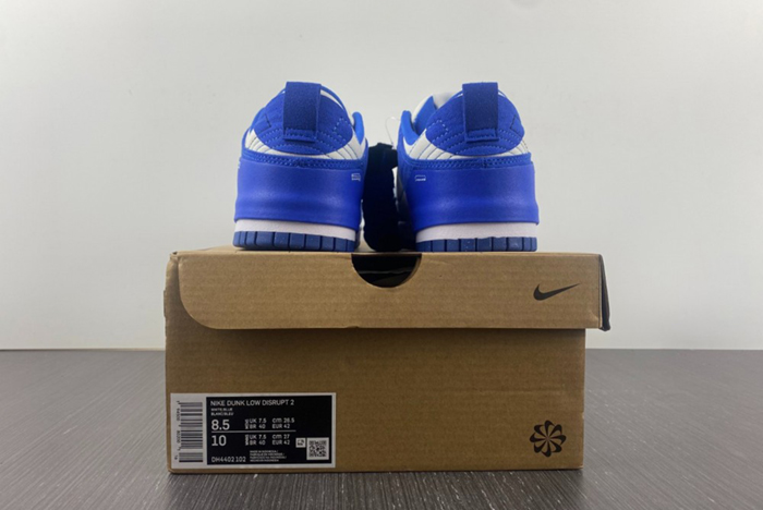 Nike Dunk Low Disrupt2  DH4402-001