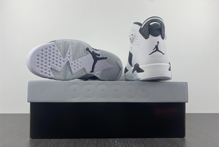 Air Jordan 6 Retro "OREO"  384664-101