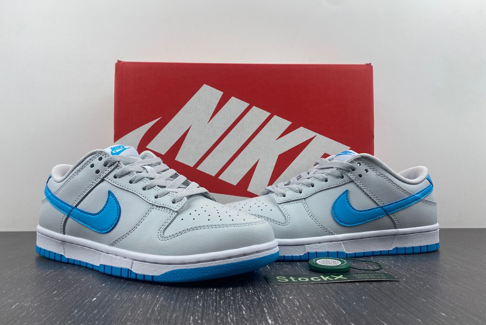 NIKE Dunk Low Retro  DV0831-001