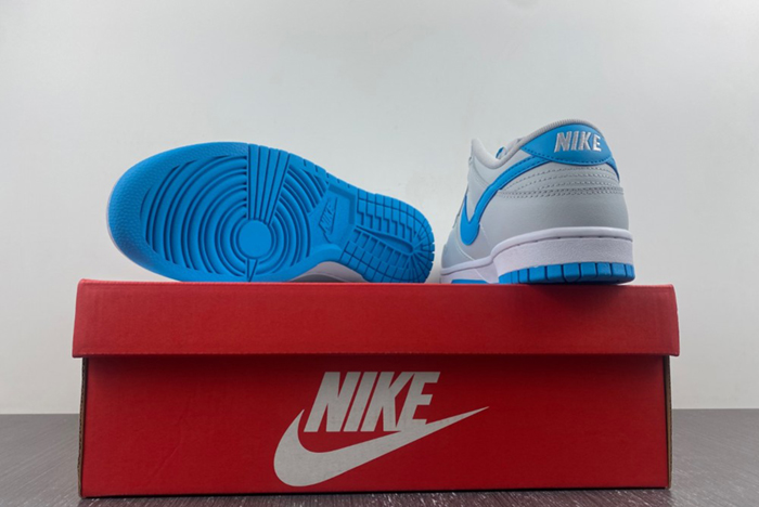 NIKE Dunk Low Retro  DV0831-001