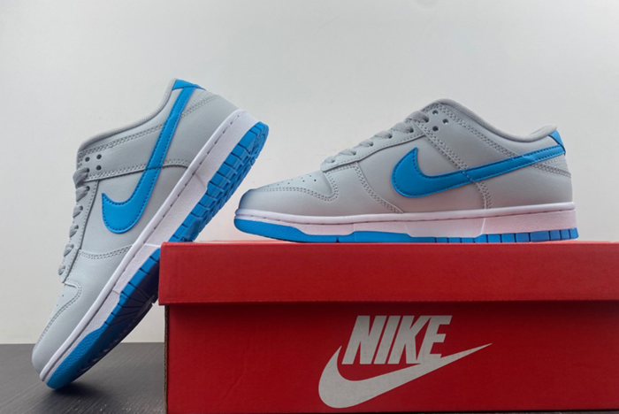 NIKE Dunk Low Retro  DV0831-001