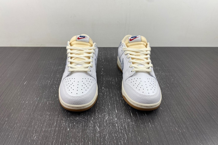Nike Dunk Low New Americana Washed Denim  FN6881-100