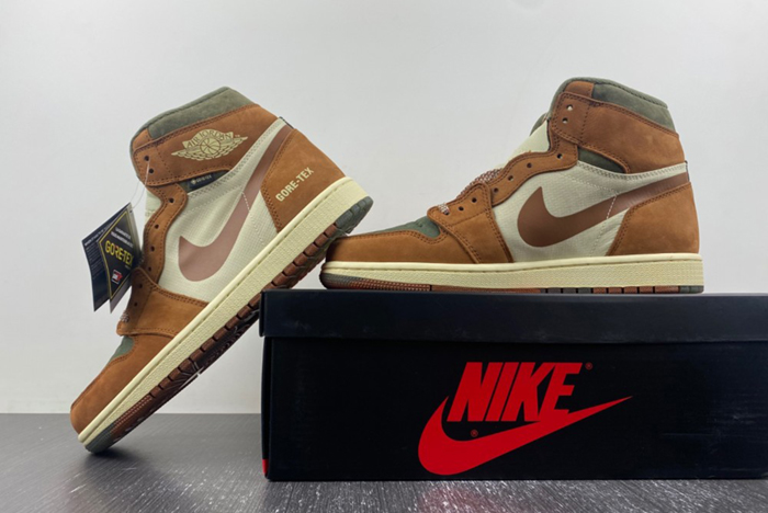 Gore-Tex Jordan 1 High DB2889-100