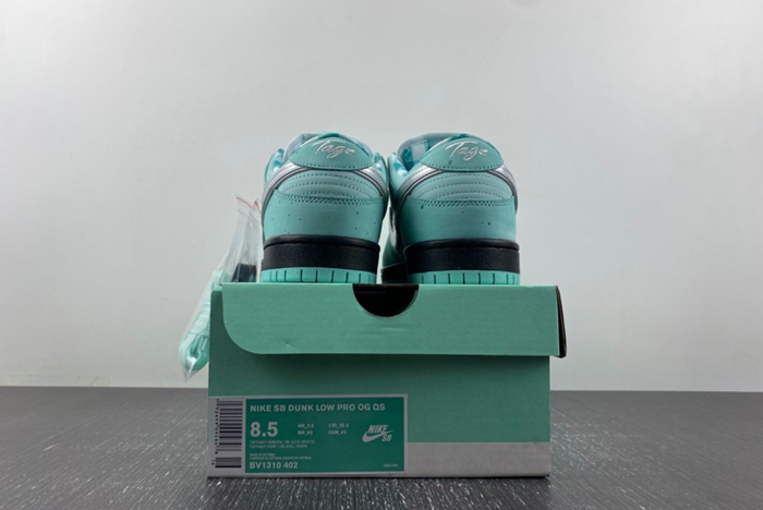 concepts x T*f*ny co. x nike sb dunk low  bv1310-402