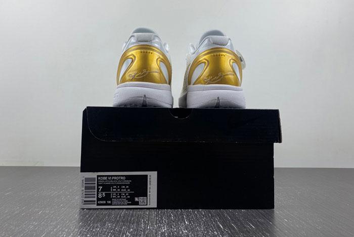 Zoom Kobe VI 429659-108