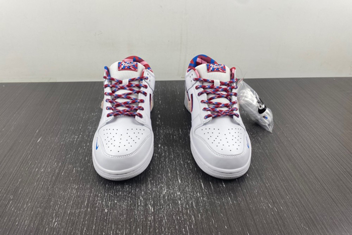 Parra x Nike SB CN4504-100